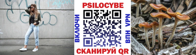 закладка  Тюмень  Галлюциногенные грибы Magic Shrooms 
