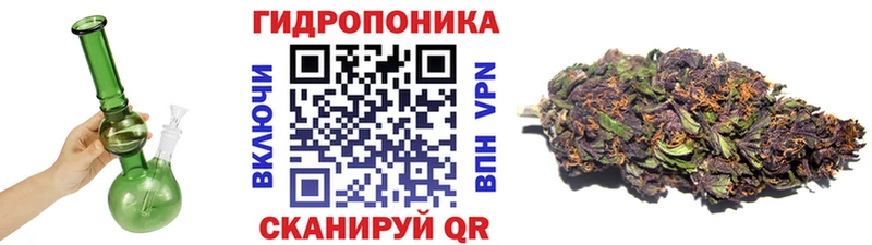 Бошки Шишки семена  Тюмень 